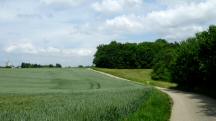  Blick auf die Wanderstrecke 