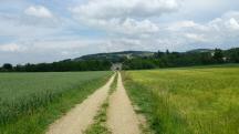  Blick auf die Wanderstrecke 