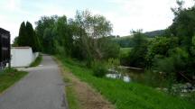 Blick auf die Wanderstrecke entlang des Michelbachs 