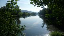  Blick auf den Donaualtarm flussabwrts 