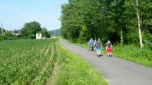  Blick auf die Wanderstrecke 