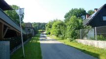  Blick auf die Wanderstrecke bei Wallenbach 