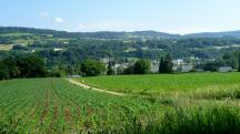  ein schner Blick zurck 