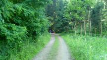 Blick auf die Wanderstrecke 