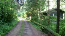  Blick auf die Wanderstrecke 