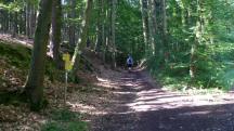  Blick auf die Wanderstrecke 