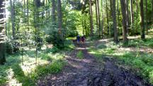  Blick auf die Wanderstrecke 