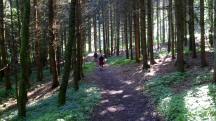  Blick auf die Wanderstrecke 