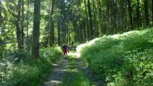  Blick auf die Wanderstrecke 