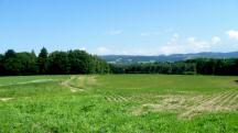  ein Blick zurck 