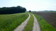 Blick auf die Wanderstrecke durch die Riede Kirchenfeld