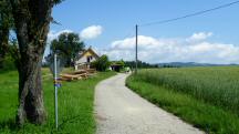  Blick auf die Wanderstrecke bei Holzern 