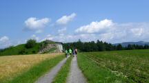  Blick auf die Wanderstrecke bei Holzern 