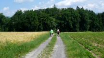  Blick auf die Wanderstrecke 
