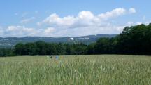  Fernblick nach Maria Taferl 
