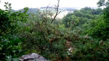  Blick vom Sngerstein