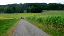  Blick auf die Wanderstrecke 