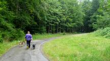  Blick auf die Wanderstrecke 