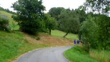  Blick auf die Wanderstrecke in der Region Khberg 