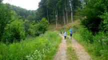  Blick auf die Wanderstrecke im Eselsteiggraben 