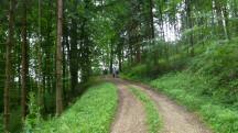  Blick auf die Wanderstrecke 