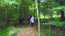  Blick auf die Wanderstrecke 