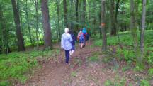  Blick auf die Wanderstrecke 