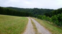  Blick auf die Wanderstrecke 