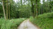  Blick auf die Wanderstrecke 