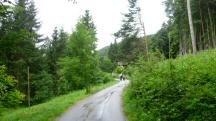 Blick auf die Wanderstrecke wieder in der Region Khberg 