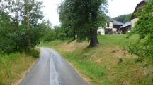 Blick auf die Wanderstrecke wieder in der Region Khberg 