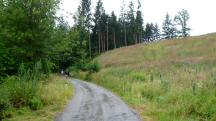 Blick auf die bekannte Wanderstrecke wieder zur Labestelle