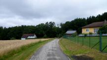  Blick auf die nun gemeinsame Wanderstrecke 