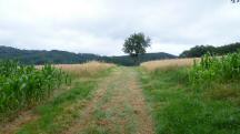  Blick auf die Wanderstrecke 