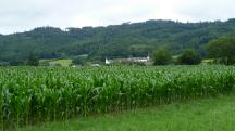  Fernblick zum Schloss Groweichselbach 
