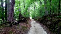  Blick auf die Wanderstrecke 