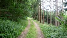  Blick auf die Wanderstrecke 