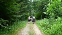  Blick auf die Wanderstrecke 
