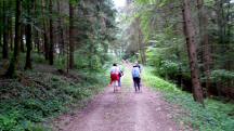  Blick auf die Wanderstrecke 