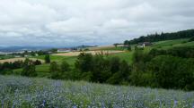  Fernblick zum Weiler Schnbuch 