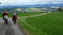 Blick auf die Wanderstrecke zum Weiler Kleinweichselbach