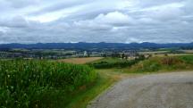 Blick auf die Wanderstrecke beim Weiler Kleinweichselbach 