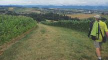  Blick auf die Wanderstrecke mit herrlicher Fernsicht 