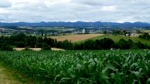  schner Fernblick nach St. Leonhard am Forst 