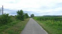 Blick auf die Wanderstrecke entlang der Franz-Josefs-Bahn