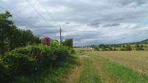 Blick auf die Wanderstrecke entlang der Franz-Josefs-Bahn