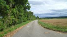 Blick auf die Wanderstrecke nach Glaubendorf 