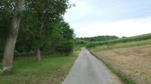  Blick auf die Wanderstrecke zum Geiberg 