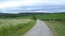  Blick auf die Wanderstrecke 