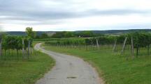  Blick auf die Wanderstrecke 